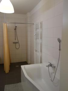 Koupelna v ubytování Schiller Apartments Fabrikantenwohnung