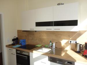 Kuchyň nebo kuchyňský kout v ubytování Schiller Apartments Fabrikantenwohnung