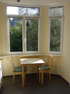 Fotografie z fotogalerie ubytování Schiller Apartments Fabrikantenwohnung v destinaci Sebnitz