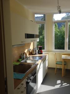 Kuchyň nebo kuchyňský kout v ubytování Schiller Apartments Fabrikantenwohnung