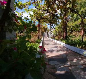 una pasarela en un parque con árboles y flores en Morin Grey casa en el corazón de la Ribeira Sacra, en Monforte de Lemos