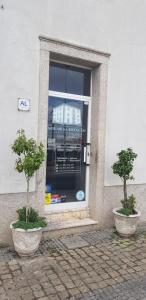 two trees in pots in front of a window at Residencial Solar da Estação in Barcelos