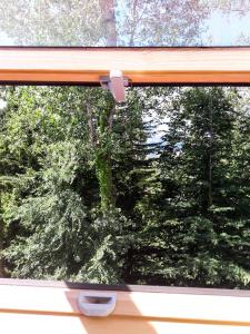 a window with a view of some trees at Little Lodge in Rivisondoli