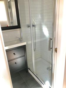 ein Bad mit einer Dusche, einem Waschbecken und einem Spiegel in der Unterkunft PROBER-CHAMOIX 68 in Encamp