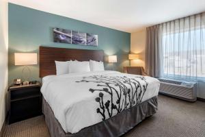 Postel nebo postele na pokoji v ubytování Sleep Inn Durango