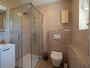 a bathroom with a shower and a toilet and a sink at Apartments Njiric in Zaton +35 photos