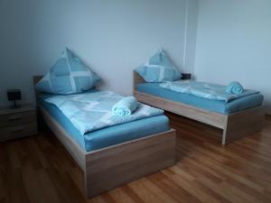 2 Betten mit blauen Kissen in einem Zimmer in der Unterkunft Ferienwohnung SimBlick in Simmerath