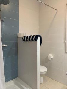 ein Badezimmer mit Toilette und Dusche in der Unterkunft Casa el Pez in Vera