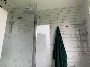 エディンバラにあるBedroom in Findlay Apartmentのバスルーム(シャワー、緑のタオル付)