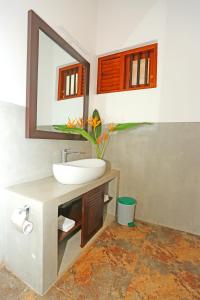 a bathroom with a sink and a mirror at Villa Peacock in Galle