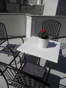 Fotografie z fotogalerie ubytování Apartment-rooms Preka v Rabu