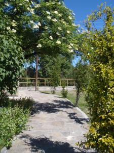 A garden outside Casa Bestregui