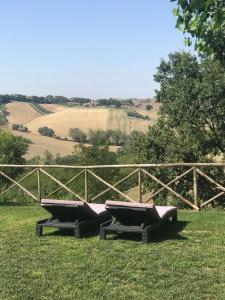 Przyroda w pobliżu tego obiektu B&B