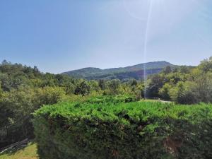 Fotografie z fotogalerie ubytování Holiday Home Mandalena v destinaci Buzet