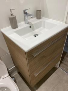 een badkamer met een witte wastafel en een toilet bij Studio meublé tout confort en Centre Ville in Aix-les-Bains