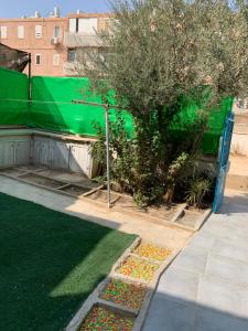 un jardín con muchas manchas de colores en la hierba en PREMIUM COMFORT PRIVATE, en Beer Sheva