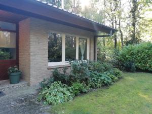 Zahrada ubytování Ferienhaus Fasanennest