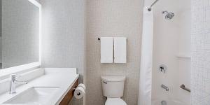 a white toilet sitting next to a sink in a bathroom at Holiday Inn Express & Suites - Brandon, an IHG Hotel in Brandon