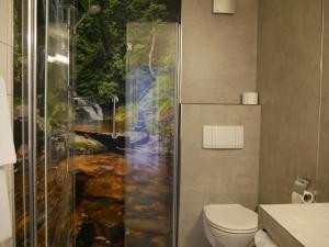Landgasthof Adler في كونتسلزاو: حمام فيه شطاف و مرحاض