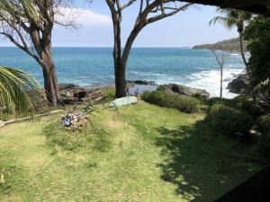 uma vista para a praia com árvores e o oceano em Luminosa Montezuma Hostel em Montezuma