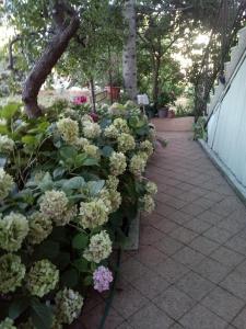 Vonkajšia záhrada v ubytovaní Apartment Lavander
