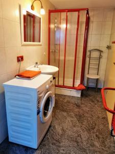 a washing machine in a bathroom with a sink and a shower at Ferienwohnung Hegemühle in Geithain