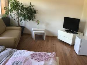 a living room with a couch and a tv and a table at Bokelrehm 3 in Bokelrehm