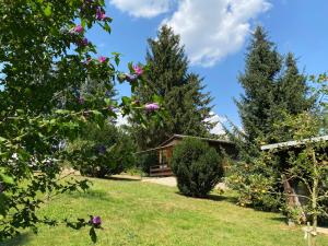 Blick auf ein Haus vom Garten aus in der Unterkunft Waldfrieden Bungalow in Garnsdorf