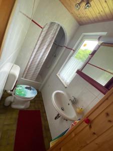ein Bad mit einem Waschbecken, einem WC und einem Fenster in der Unterkunft Waldfrieden Bungalow in Garnsdorf