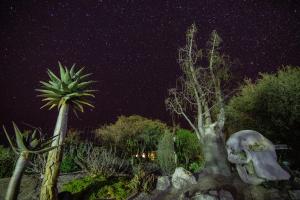 a garden at night with a skull statue and a palm tree at Daureb Isib Campsite and B&B in Uis