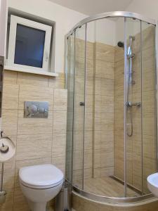 Ένα μπάνιο στο Luxury Cottage by Little Danube - Pista & Magduska +48 φωτογραφίες
