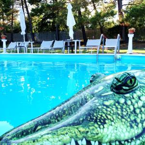 un crocodile dans l'eau d'une piscine dans l'établissement La Fabbrichina Il luogo della pace, à Camporbiano