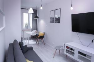 TV a/nebo společenská místnost v ubytování Apartamenty Długa 6