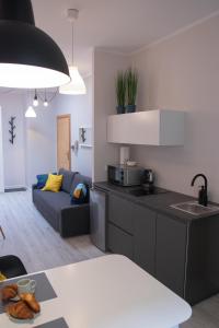 kuchnia i salon z kanapą w obiekcie Apartamenty Długa 6 w Bydgoszczy