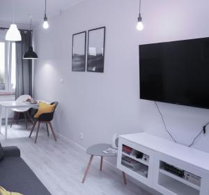 TV a/nebo společenská místnost v ubytování Apartamenty Długa 6