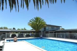 a swimming pool with a palm tree and a building at Thornton Lodge Motel in  Waipukurau