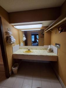 Ένα μπάνιο στο Gray Plaza Motel West Frankfort