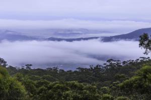 度假屋周边自然景观