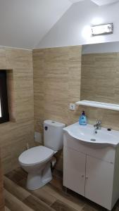 a bathroom with a white toilet and a sink at Casa Alesia Bucovina in Gura Humorului +34 photos