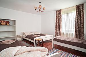 a bedroom with two beds and a window at Anna Guesthouse in Lunca de Sus