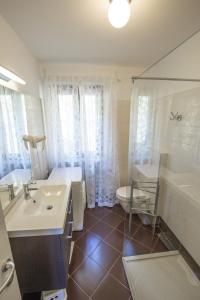 a bathroom with a sink and a shower and a toilet at Serena Charme View in Mezzolago