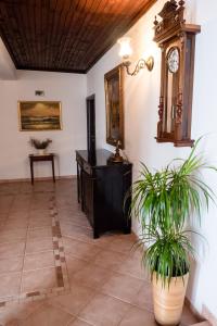 Fotografie z fotogalerie ubytování Apartment-rooms Preka v Rabu