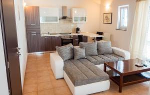 Kuchyň nebo kuchyňský kout v ubytování Apartment-rooms Preka