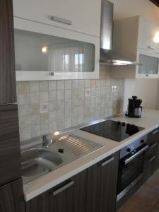 Kuchyň nebo kuchyňský kout v ubytování Apartment-rooms Preka