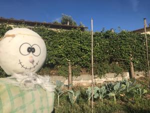A garden outside il Podere La Casina