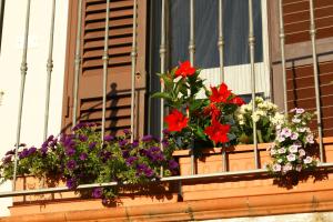 A garden outside il Podere La Casina