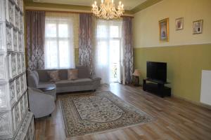 salon z kanapą i telewizorem w obiekcie Apartman Sylva na Staré Louce 42 w Karlowych Warach