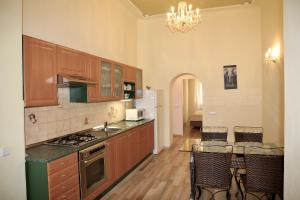 kuchnia z drewnianymi szafkami i kuchenką z piekarnikiem w obiekcie Apartman Sylva na Staré Louce 42 w Karlowych Warach