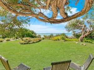 two chairs sitting in the grass under a tree at Waters Edge in Port Fairy