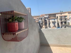 卡塔尼亞的住宿－Hygge House Catania，墙上的架子上放着两株盆栽植物
